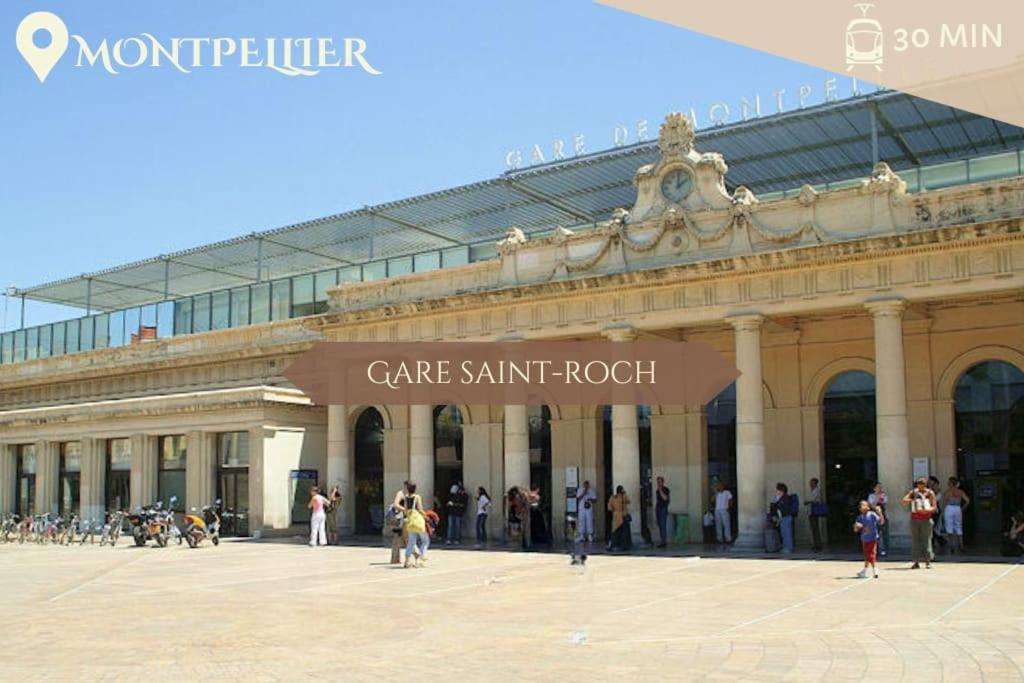 028- Chu Hopital, Appart 2Chambres, Parking, Tram Montpellier Dış mekan fotoğraf
